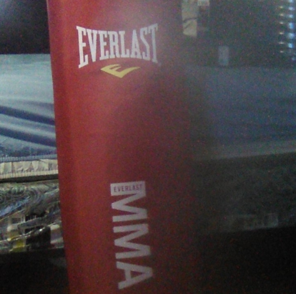 Everlast punching bag